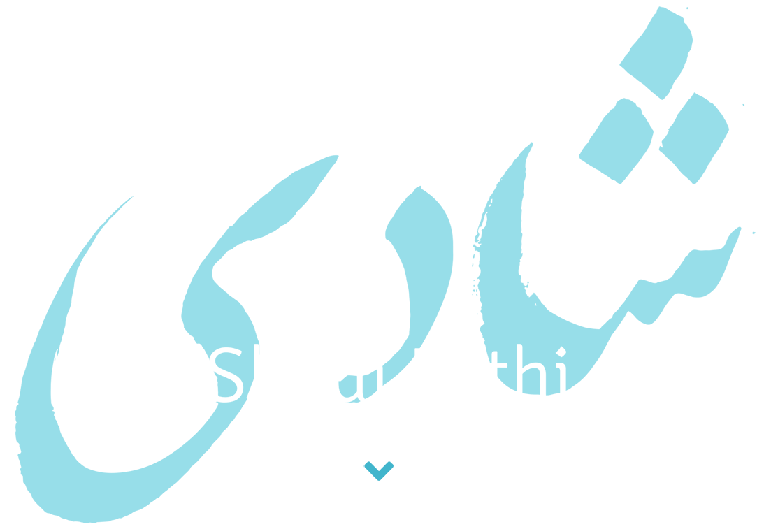 Shadi Fathi